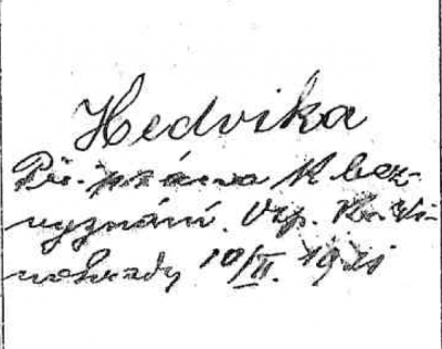 hedvika.png
