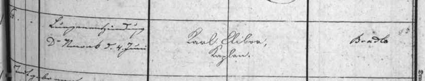 detail 12.jpg