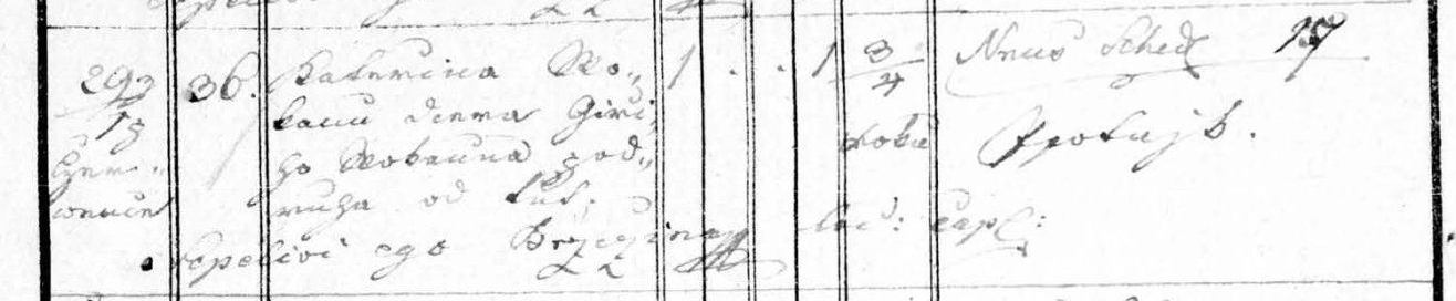 detail 02.jpg