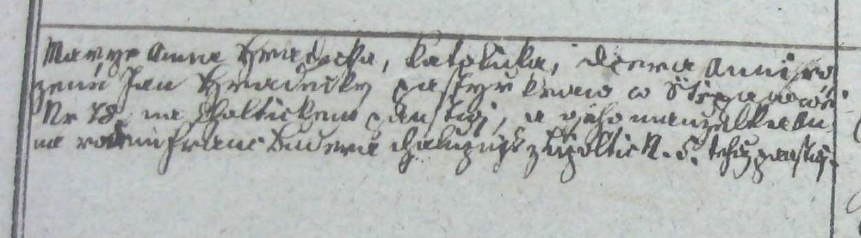 antonín-dopřečtení matky.www.jpg
