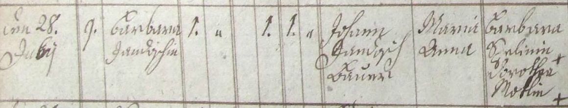 Jandošová_n1785.jpg
