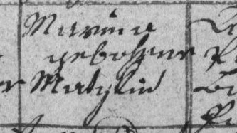 N_I-N_1785-1828_7740_Si_VII_4_Jedli_Svebohov_Vaclavov_Drozdov_055.jpg
