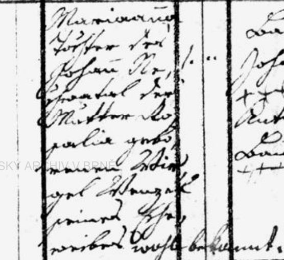 mn1823.jpg