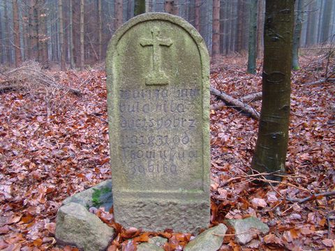 kopie - dsc01403.jpg