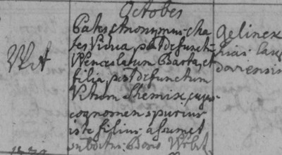 Vit1778.jpg