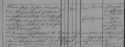 O - Baryhar Jan(24let) a Flečková Marie(23) O-1-2-1842_Doubravice čd23_detail nevěsty.JPG