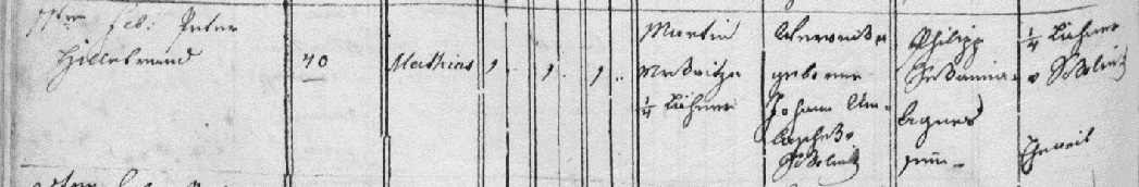 matěj mrkvica1826.jpg