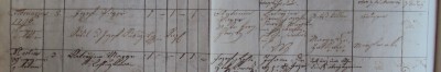 bajer_n_1796_det.jpg (270.65 KiB) Zobrazeno 9301 krát bajer_n_1796_det.jpg